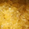 Pumpkin Hemp Soap Gel - Sweet Cedar - Image 2